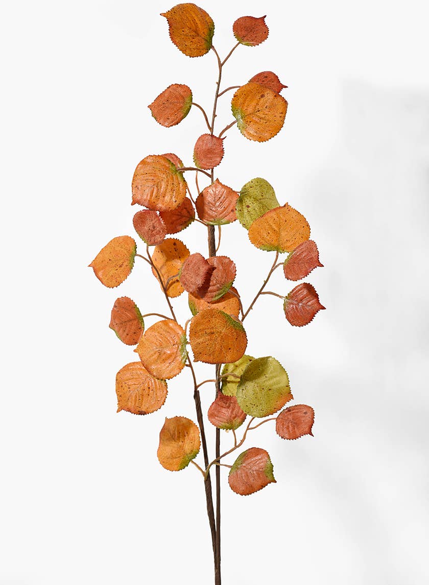 Birch Faux Spray