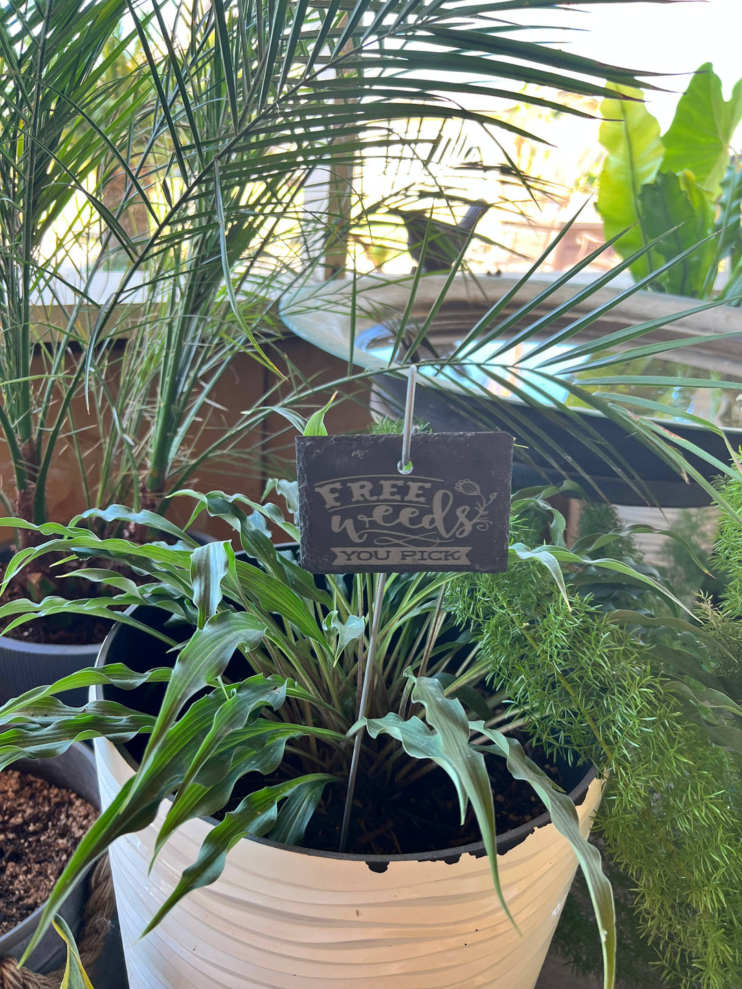 Free Weeds Slate Plant Marker