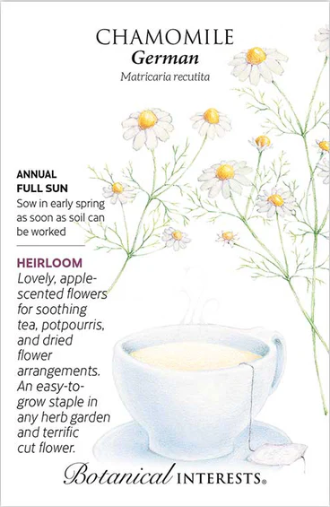 German Chamomile