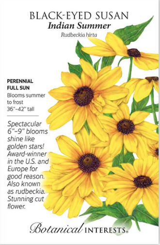 Black Eyed Susan Indian Summer Seeds