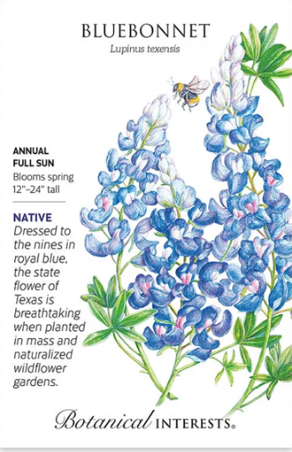 Bluebonnet Seeds