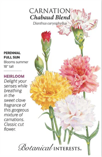 Chabaud Blend Carnation Seeds