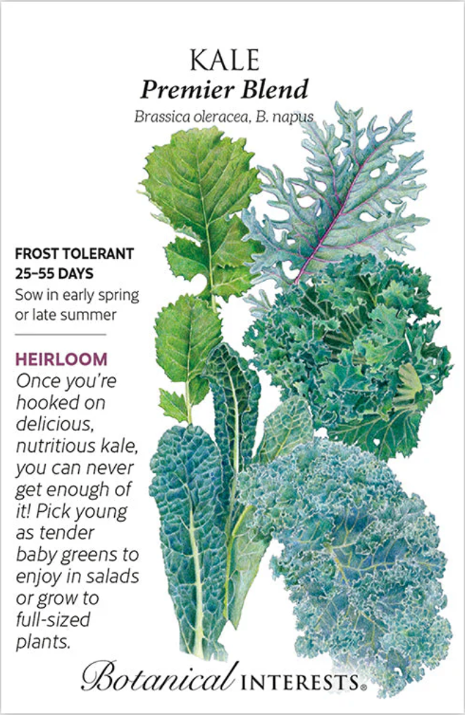 Kale, Premier Blend