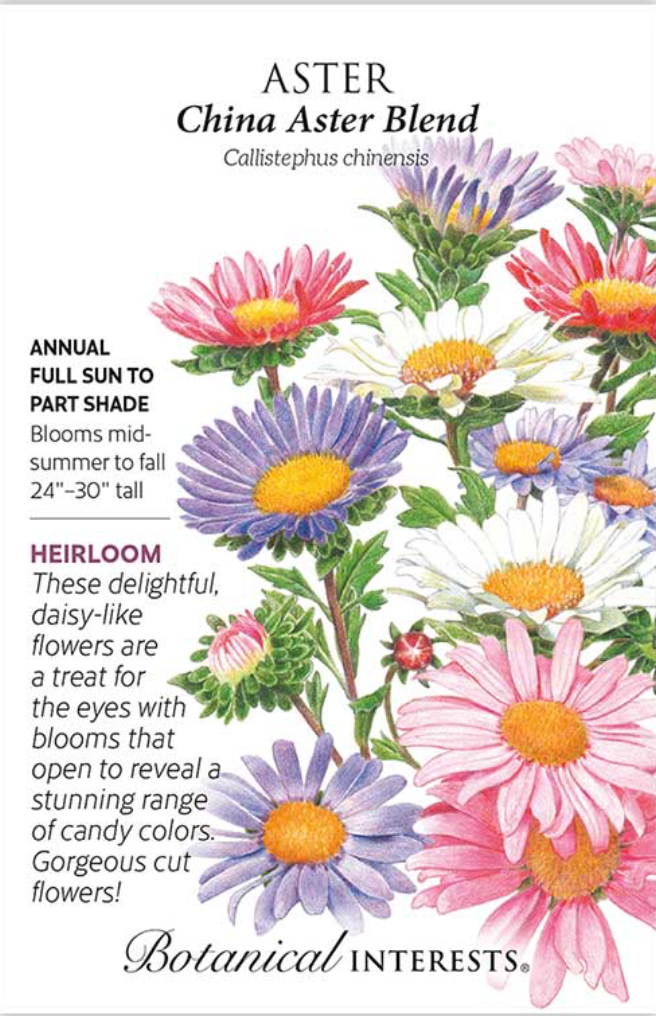 China Aster Blend