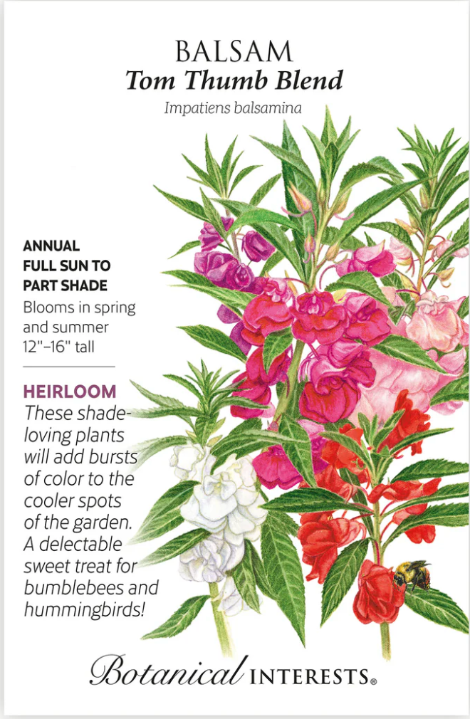 Tom Thumb Blend Balsam Seeds