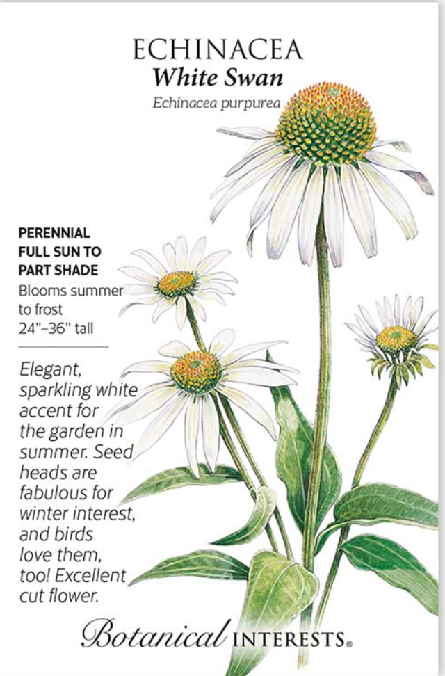 White Swan Echinacea Seeds