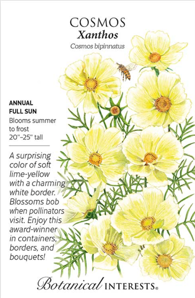 Cosmos Xanthos