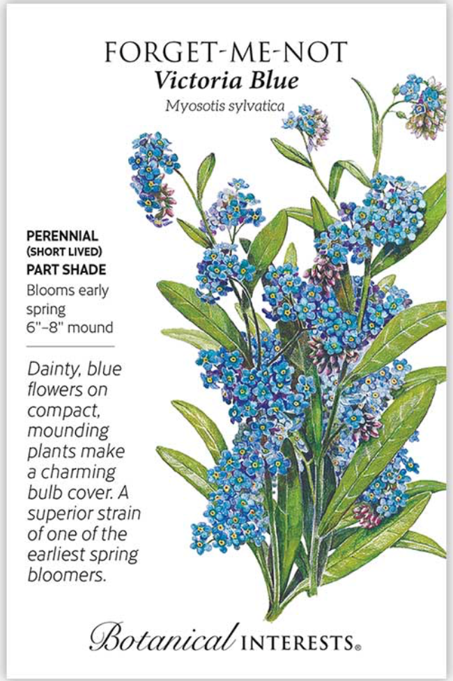 Victoria Blue Forget-Me-Not Seeds