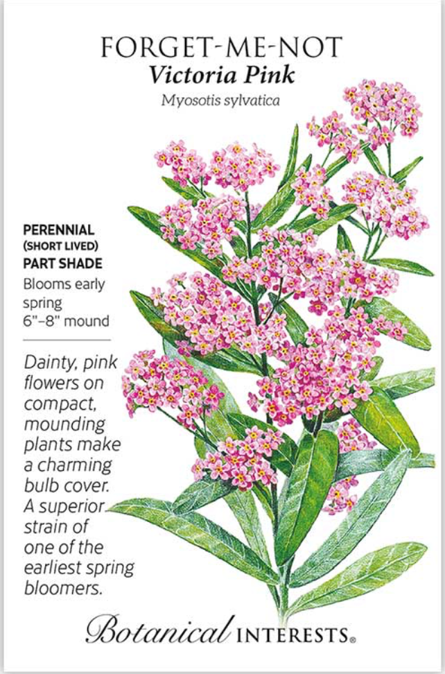 Victoria Pink Forget-Me-Not Seeds