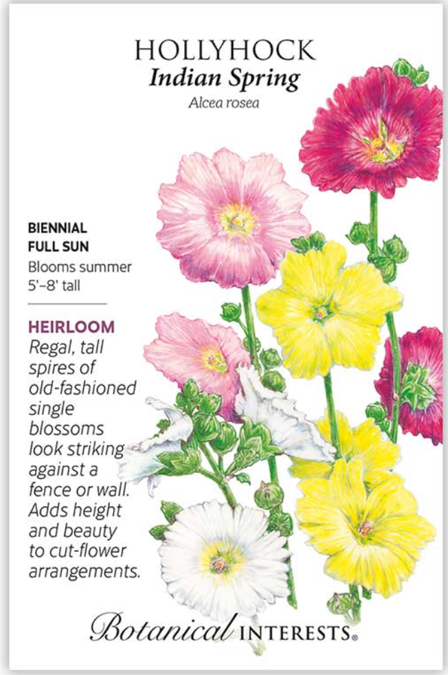 Indian Spring Hollyhock Seeds
