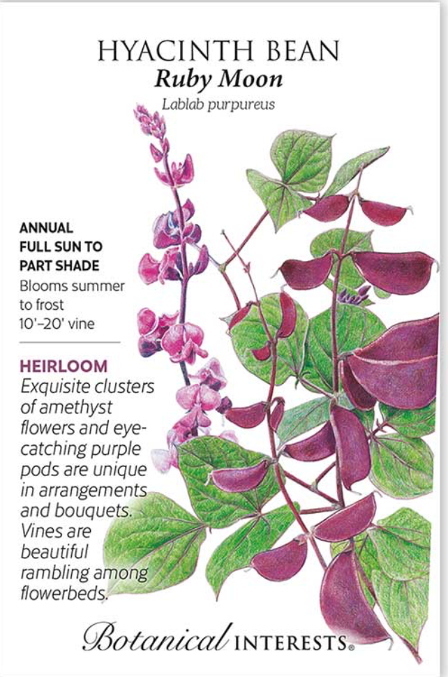 Ruby Moon Hyacinth Bean Seeds