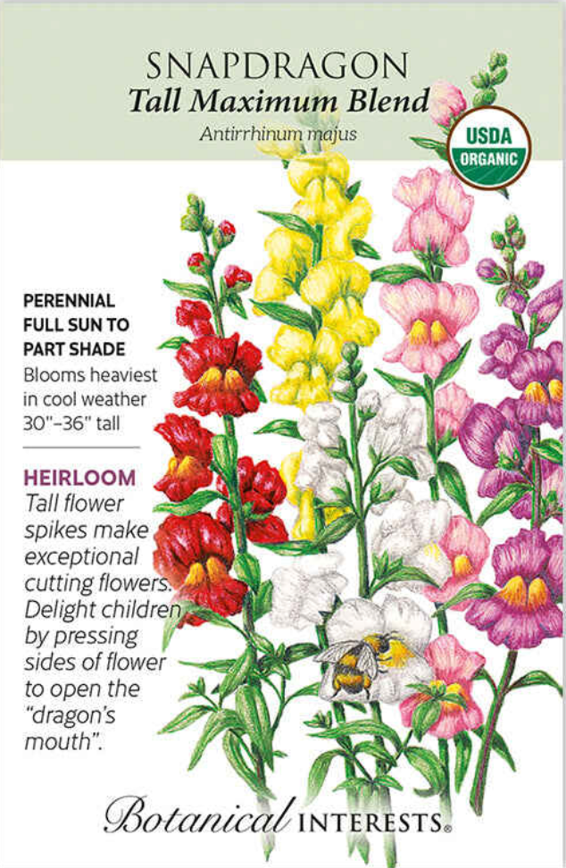 Tall Maximum Blend Snapdragon Seeds