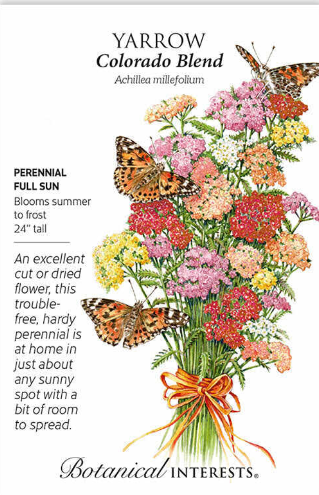 Colorado Blend Yarrow Seeds