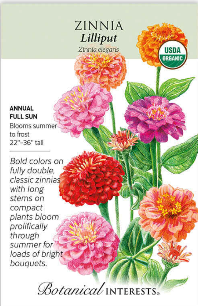 Lilliput Zinnia Seeds