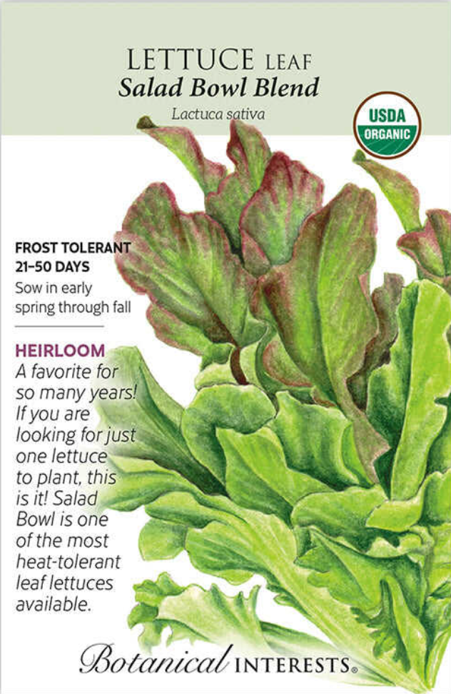 Large Packet - Salad Bowl Blend Leaf Lettuce Seeds