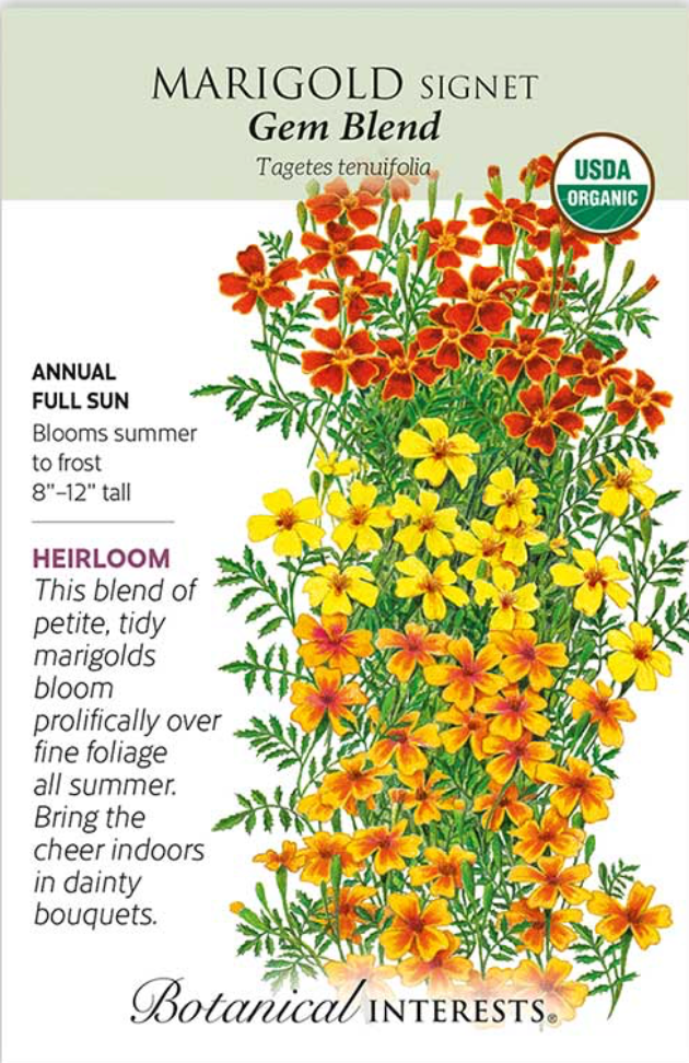 Gem Blend Signet Marigold Seeds