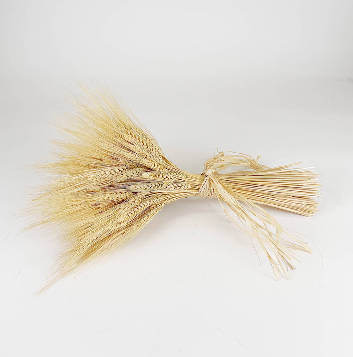 Golden Wheat Bundle