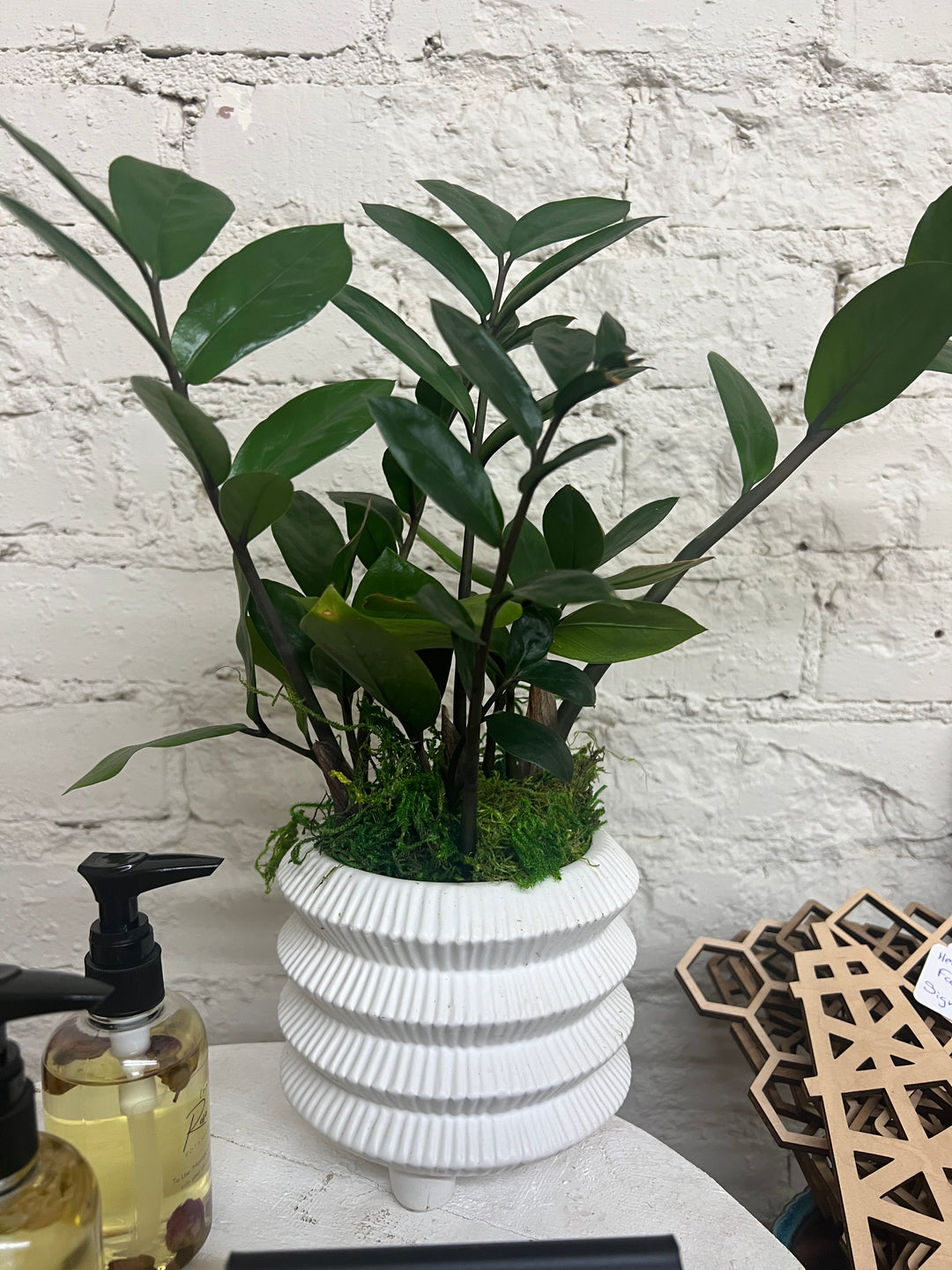 Assorted Plants