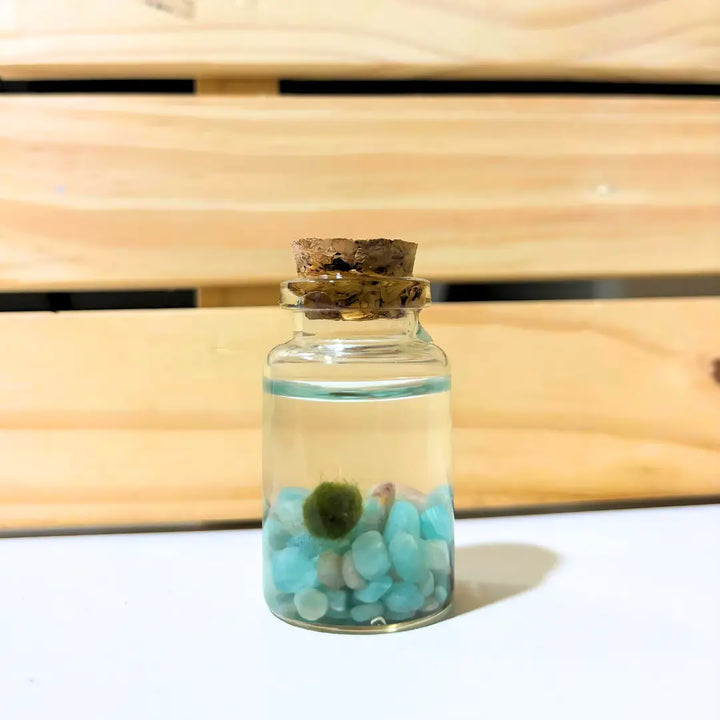 Amazonite Moss Nino