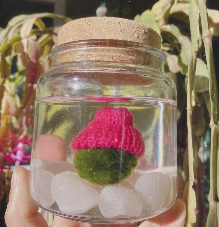 Moss Beanie