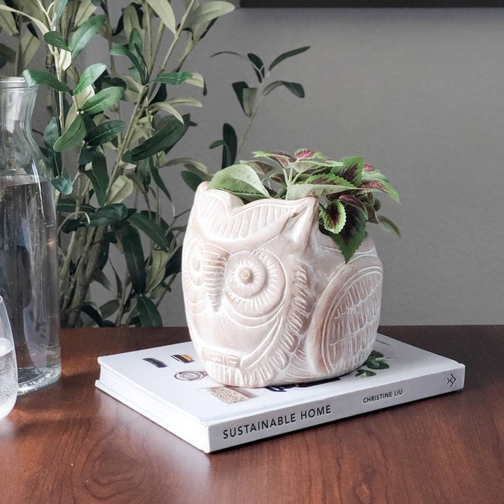 Handmade Planter Pot • Terracotta Pot - Horned Owl
