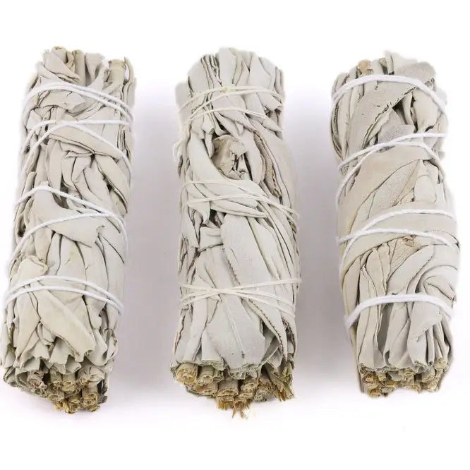 White Sage Smudge Sticks 4"