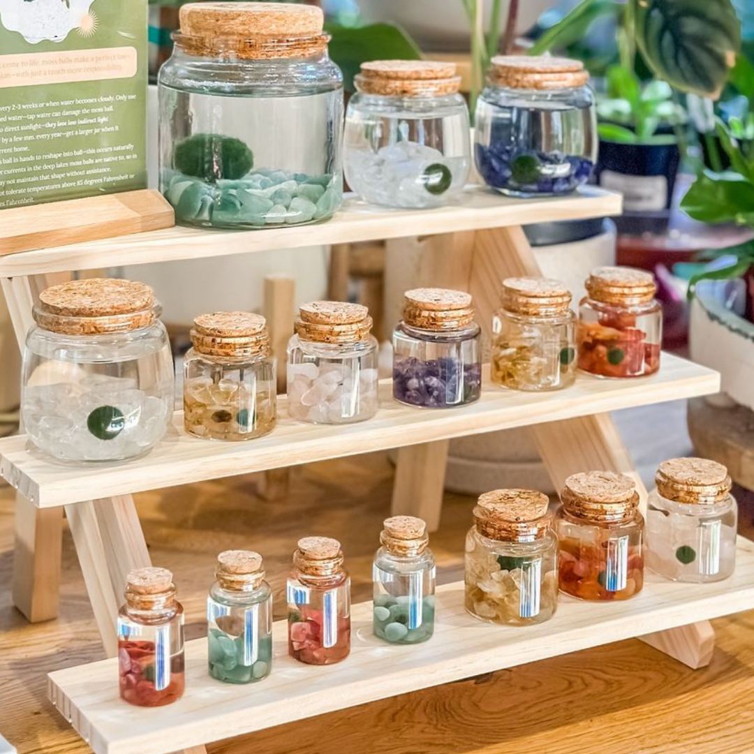 Tiny Marimo Moss Ball Terrarium with Carnelian Gemstones