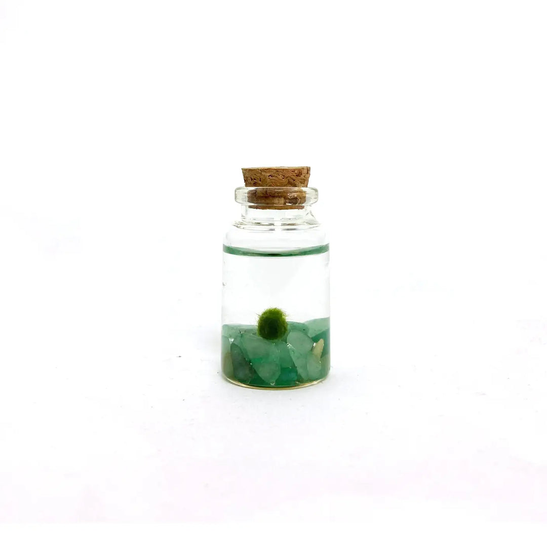 Aventurine Moss Nino
