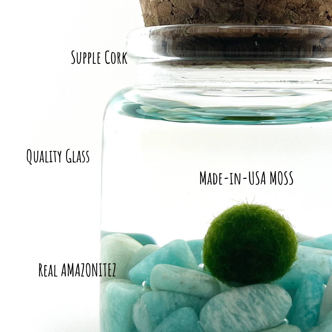 Small Marimo Moss Ball Terrarium with Amazonite Gemstone