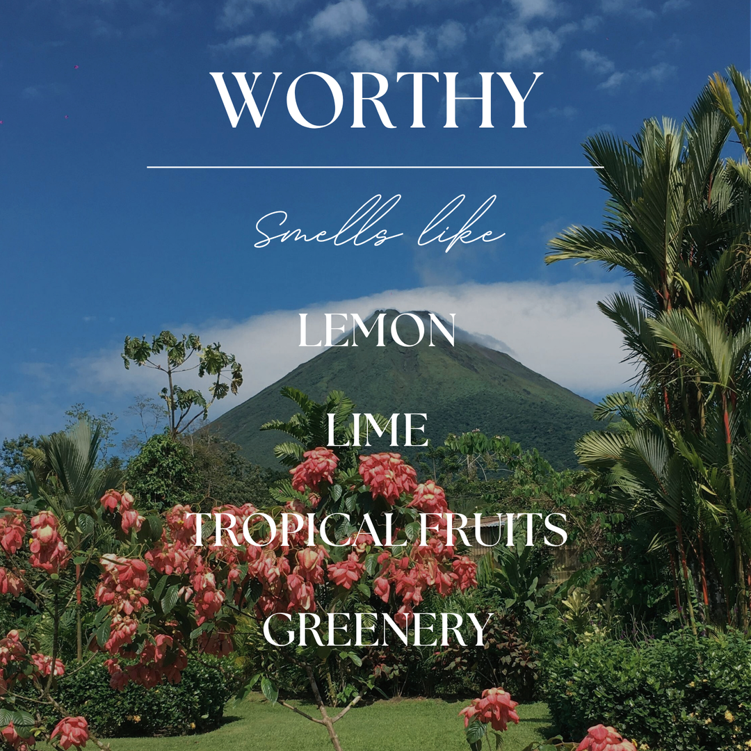 Worthy | Volcanic Island | 9 oz. Clear Jar Soy Candle