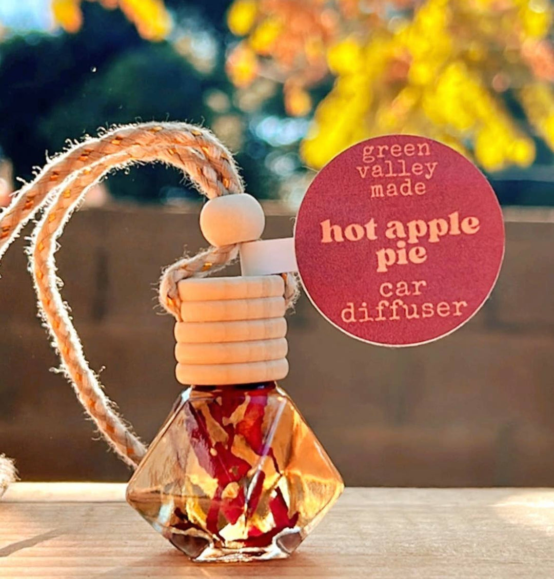 Holiday Car Diffusers | Air Fresheners