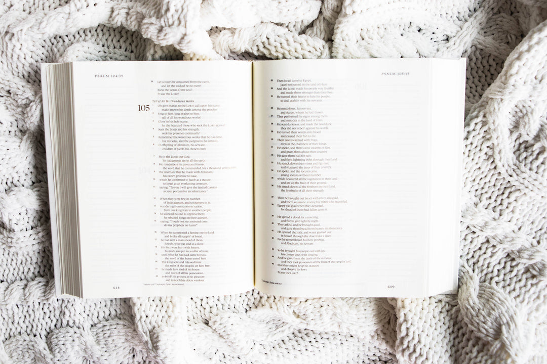 Hope + Harmony ESV Journaling Bible