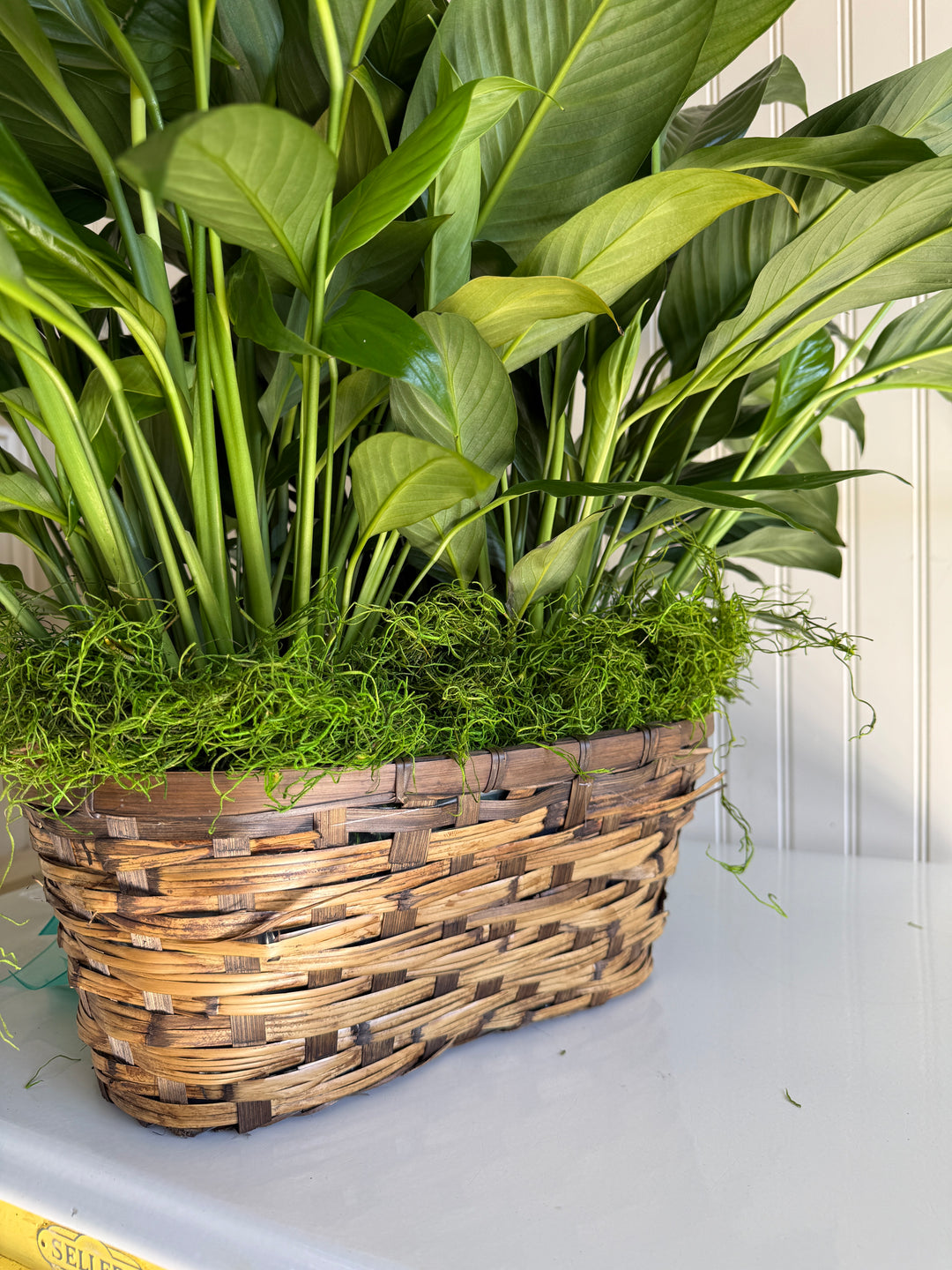 Double Peace Lily Peanut Basket