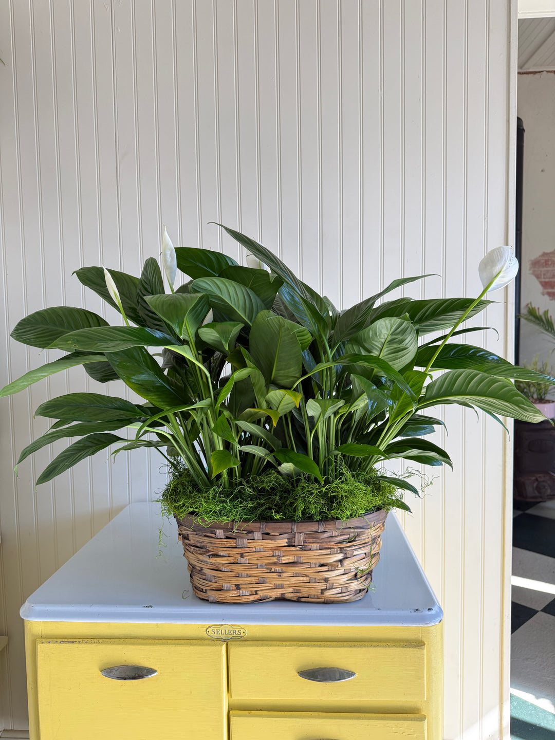 Double Peace Lily Peanut Basket