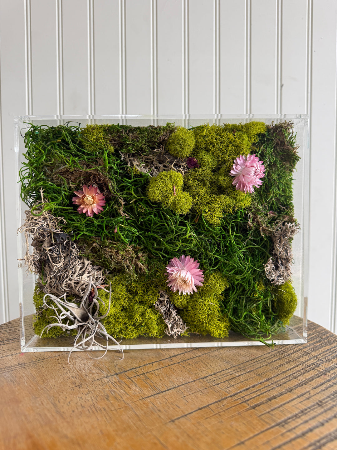 Moss Picture Art