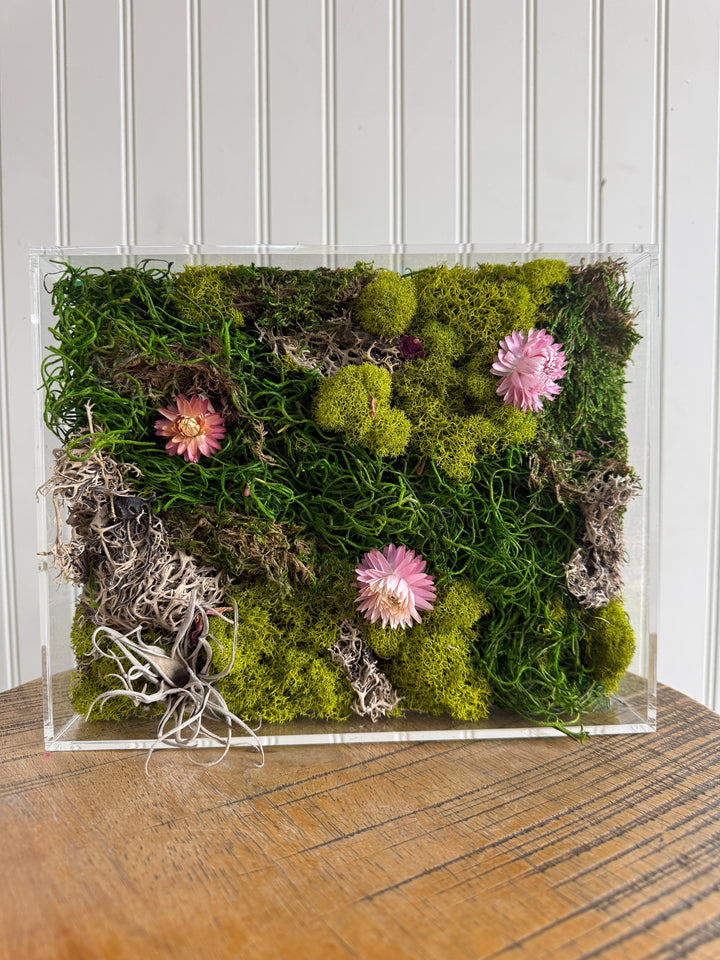 Moss Picture Art