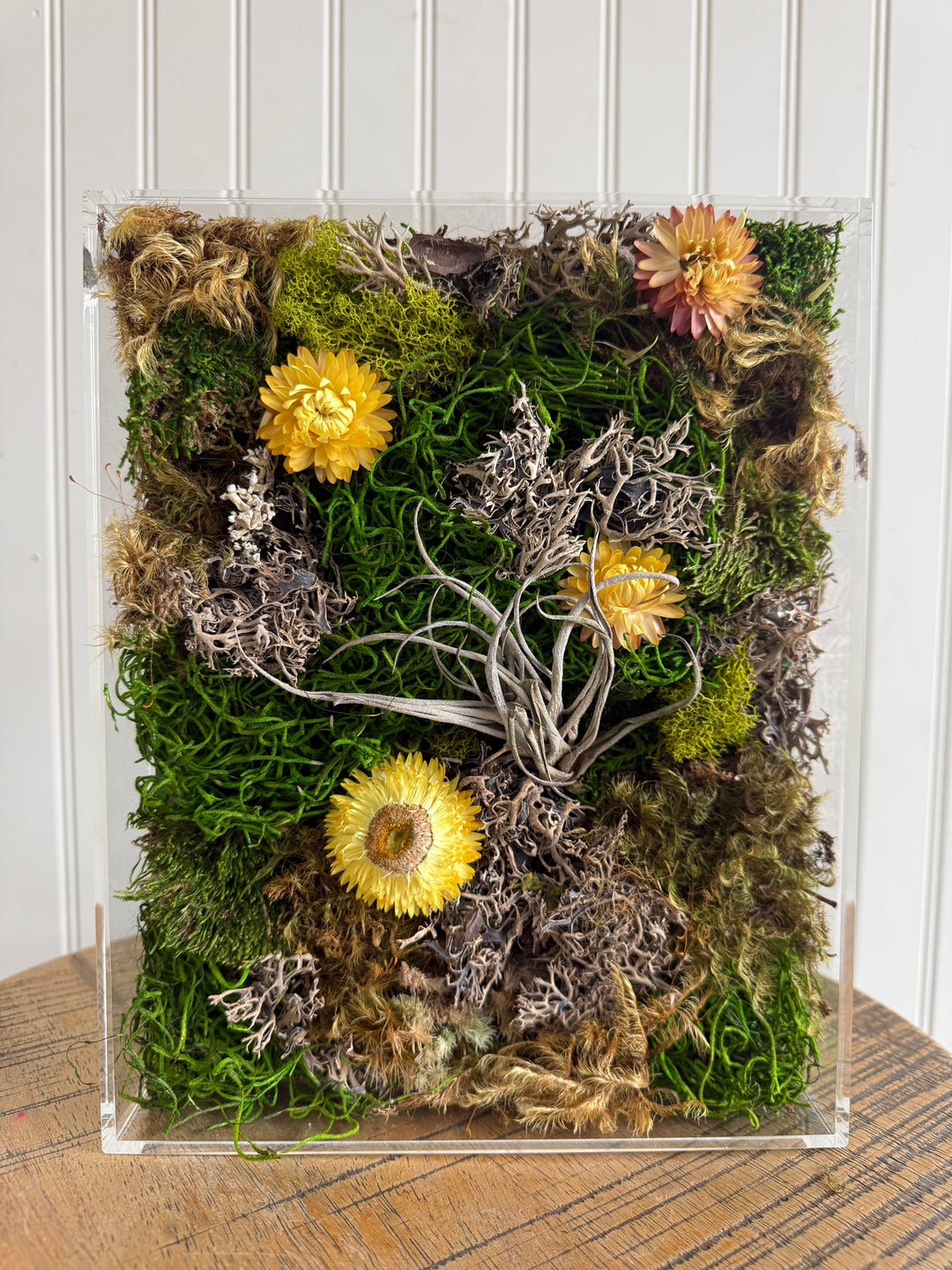 Moss Picture Art