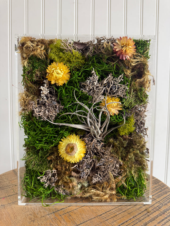 Moss Picture Art