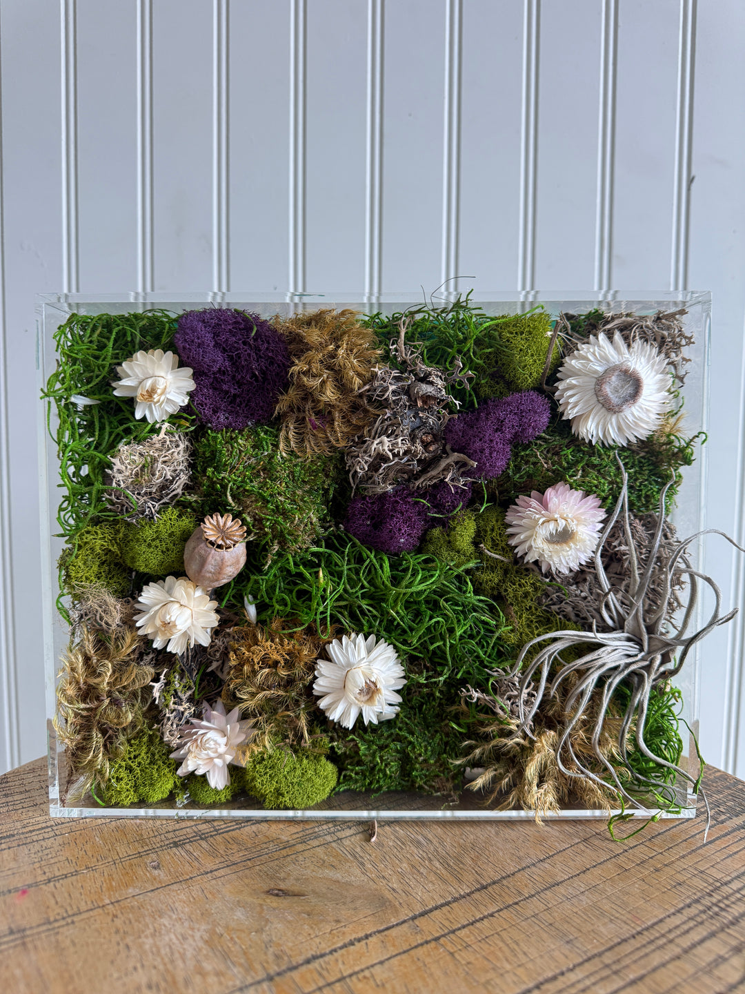 Moss Picture Art