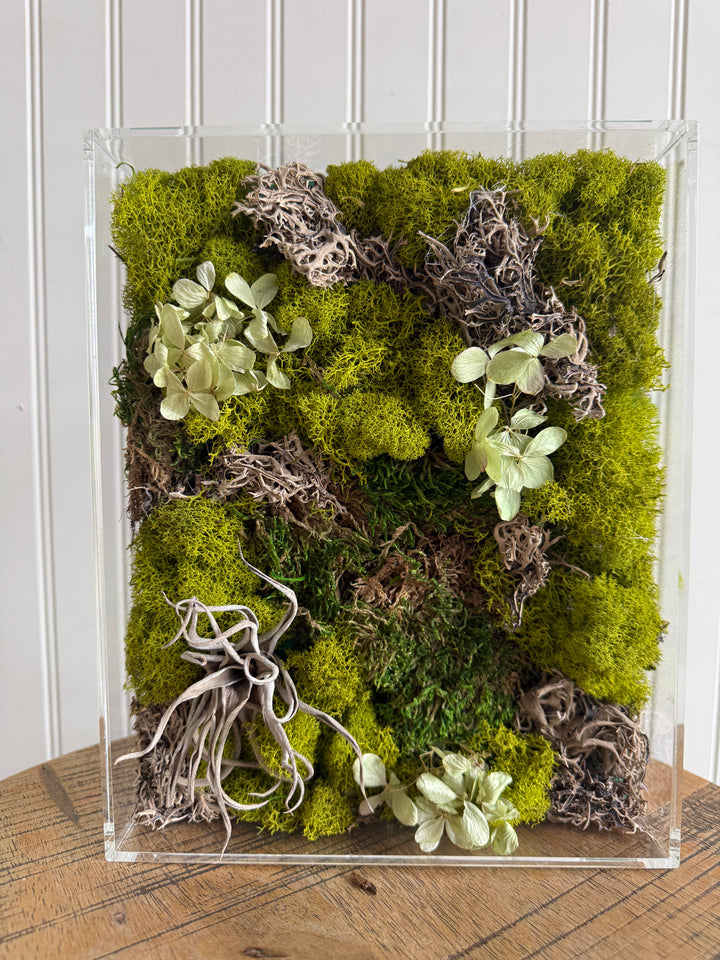 Moss Picture Art