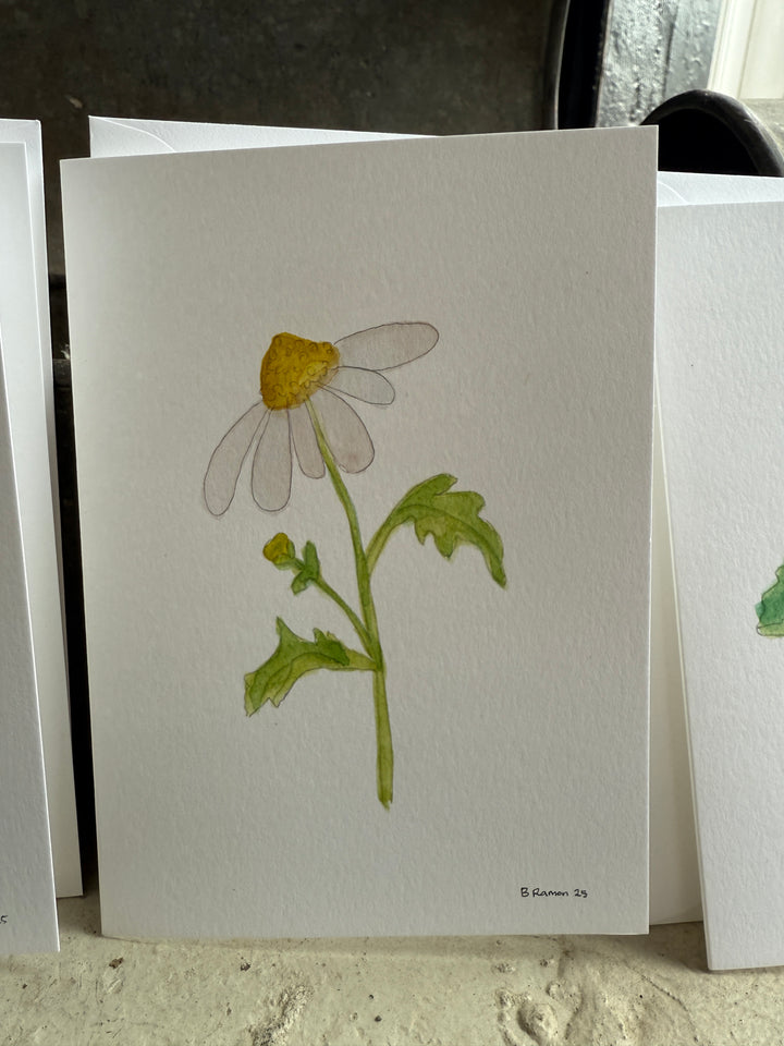 Watercolor Floral Cards