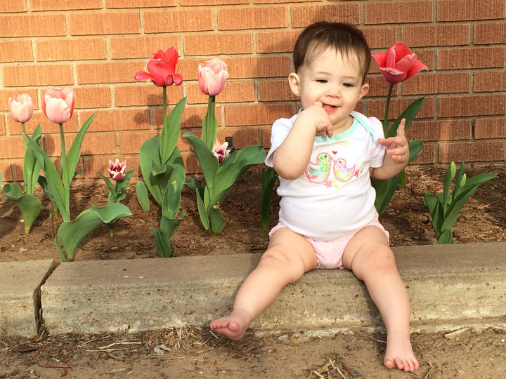 Spring Tulip Subscription