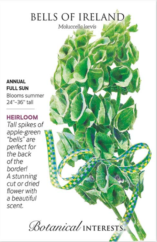 Bells of Ireland Seeds