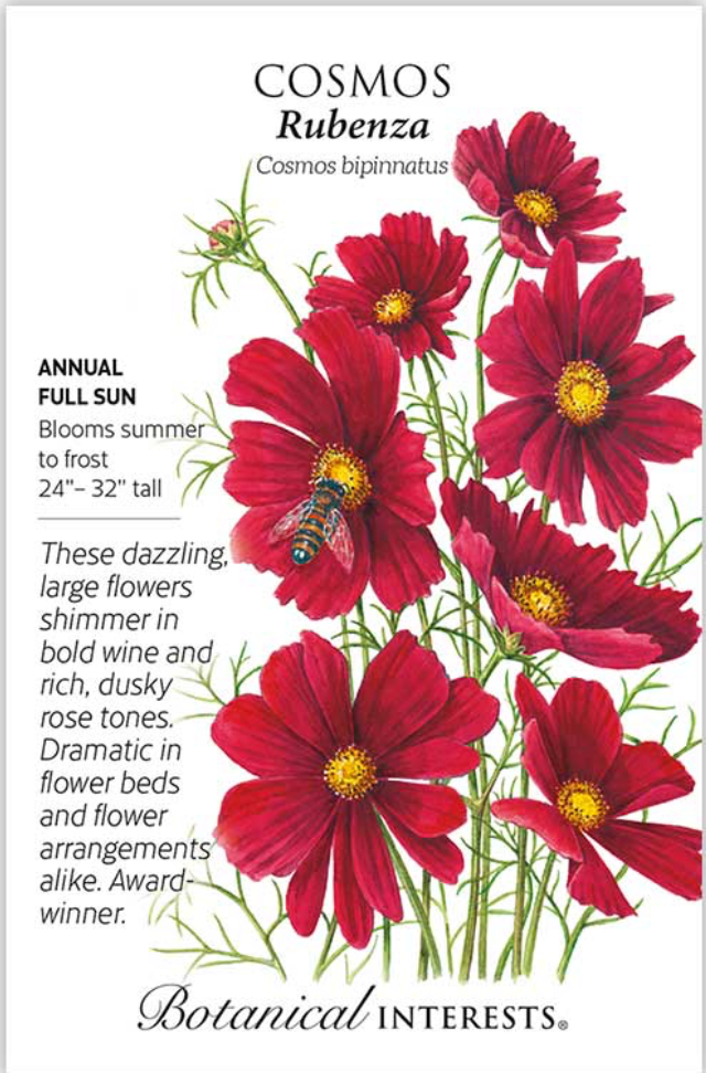 Cosmos Rubenza