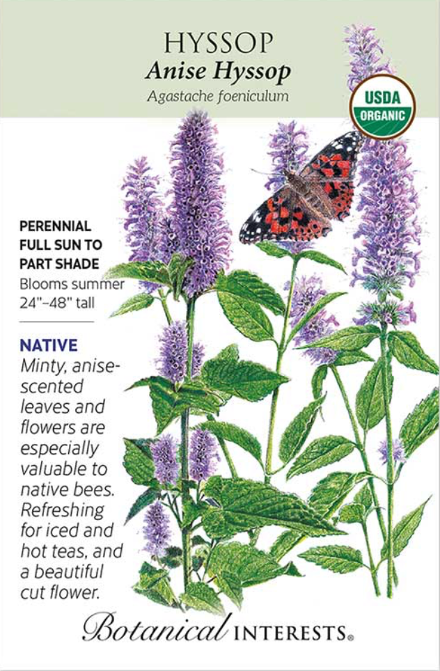 Anise Hyssop Seeds
