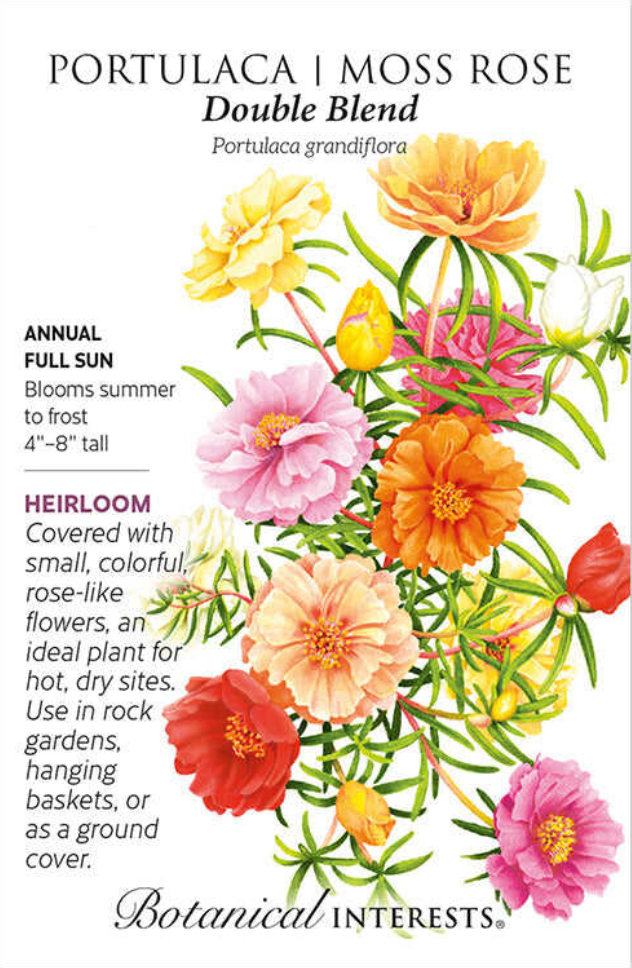 Double Blend Portulaca (Moss Rose) Seeds