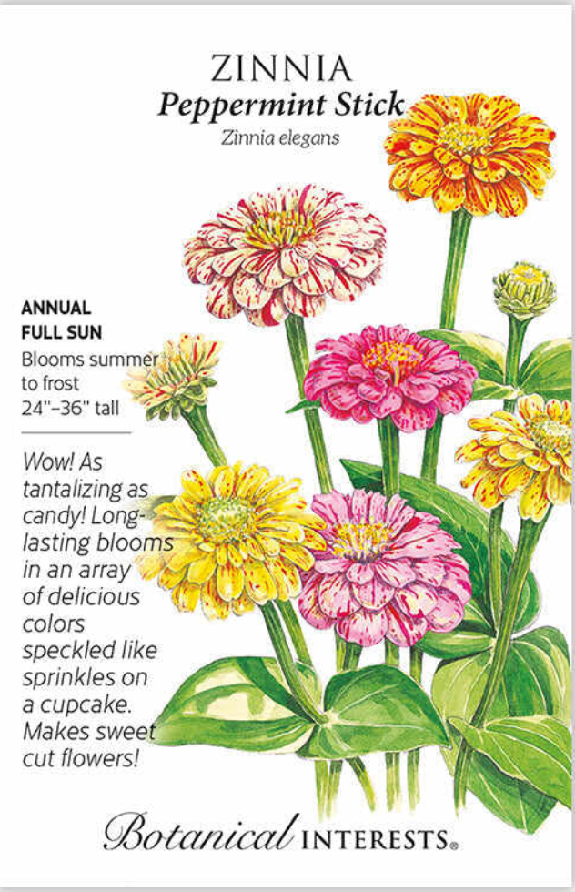 Peppermint Stick Zinnia Seeds