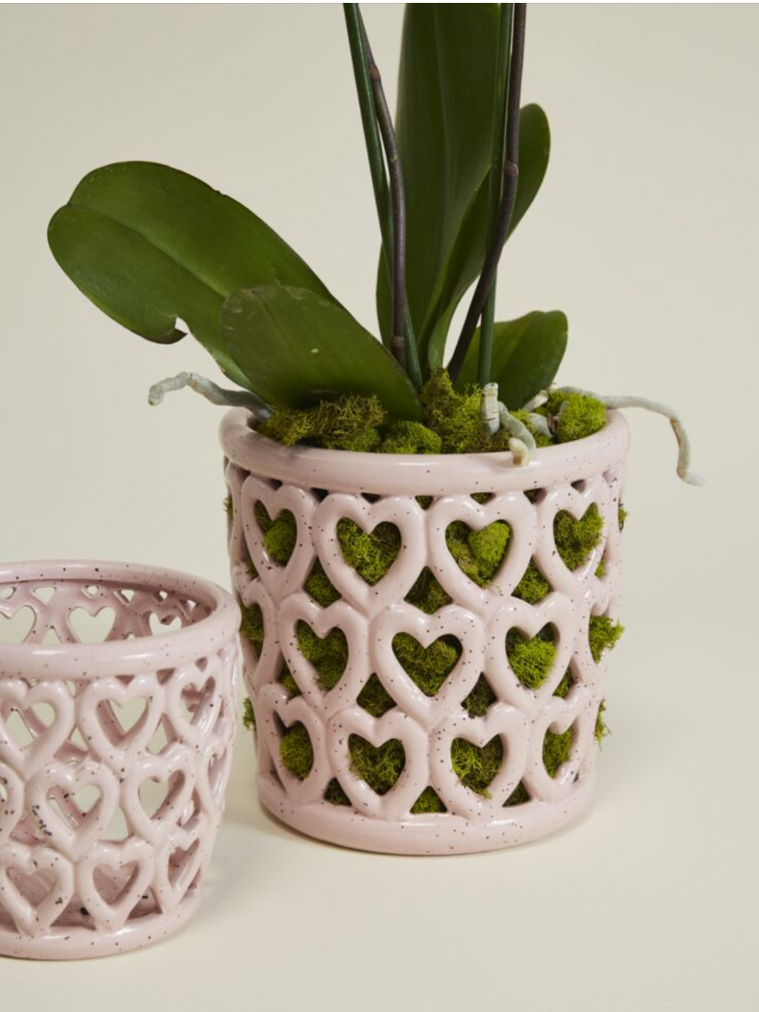 Heart Eyes for Orchids