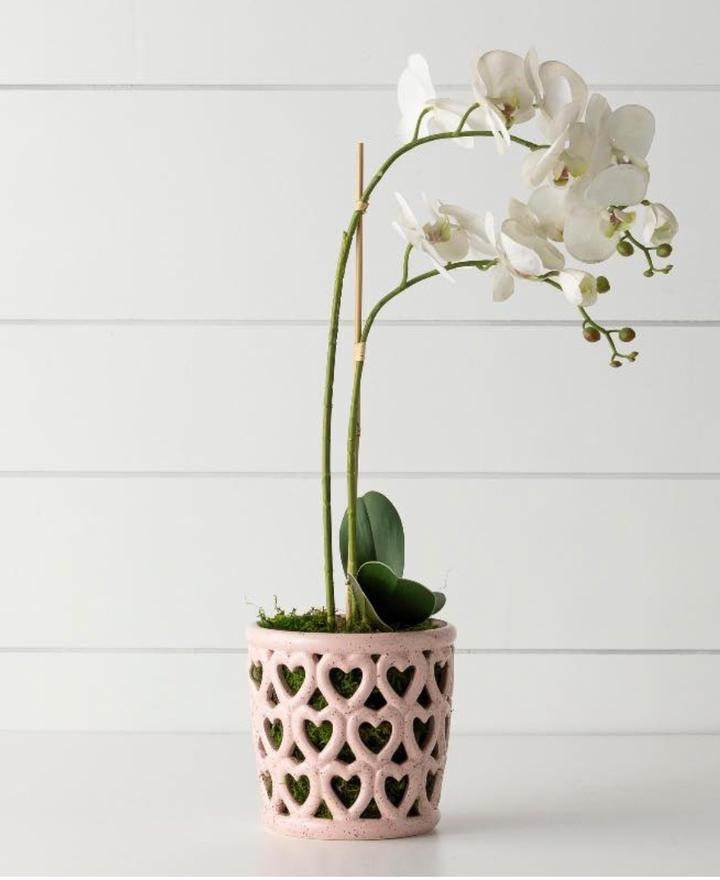 Heart Eyes for Orchids