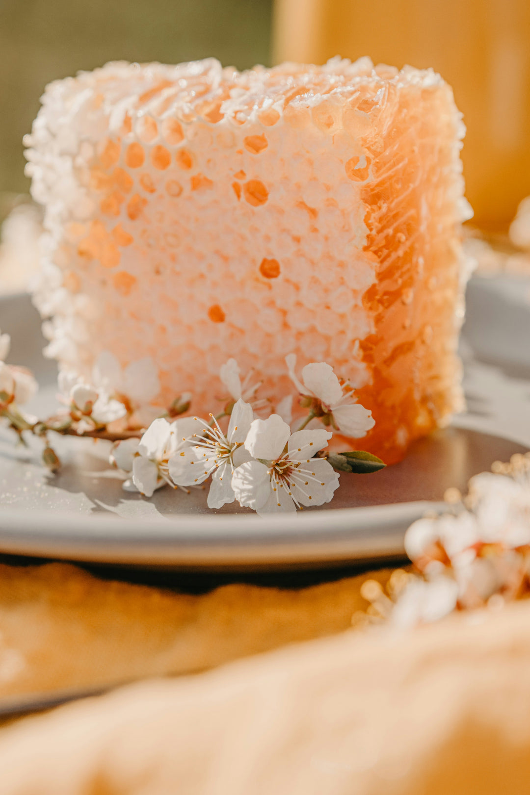 Wildflower Comb Honey 5 oz